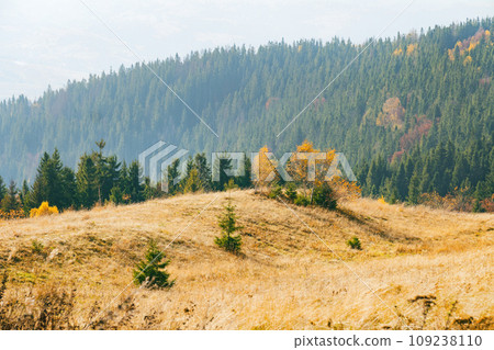 Autumn Carpathian mountains road 109238110