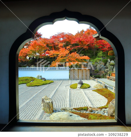 Hotokuji Temple - View of the autumn foliage courtyard through the window Hotokuji Temple - View of the autumn foliage courtyard through the window 109238229