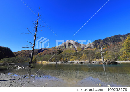 上高地的秋葉與美麗的白雪覆蓋的燒岳 109238378