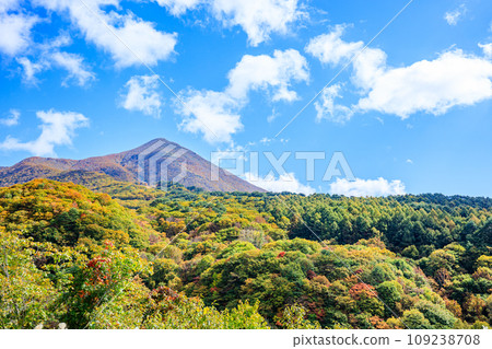 從福島縣萬代町滑瀧展望台眺望秋天的萬代山 109238708