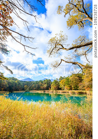 Goshikinuma group in early autumn, Rurinuma, Kitashiobara Village, Fukushima Prefecture Goshikinuma group in early autumn, Rurinuma, Kitashiobara Village, Fukushima Prefecture 109238728