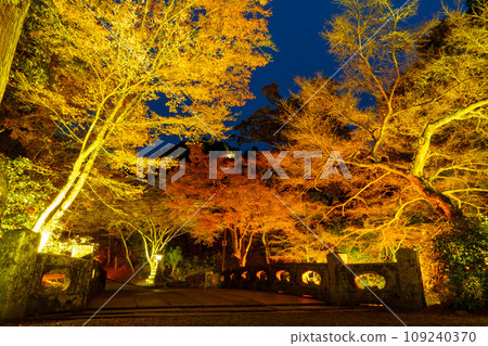 日吉大社秋葉 109240370