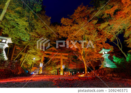 Sanno Torii Sanno Torii 109240371