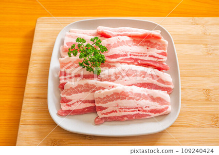 Pork belly on a plate 109240424