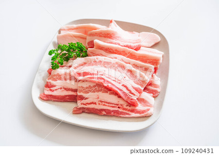 Pork belly on a plate 109240431