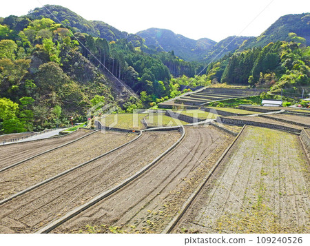位於福岡縣朝倉郡的日本梯田百選之一的 Bamboo 地區的美麗梯田 109240526
