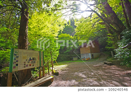 Iwaya Shrine, a power spot in Toho Village, Asakura District, Fukuoka Prefecture 109240546