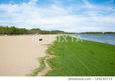 A green park with a sea view A green park with a sea view 109240719
