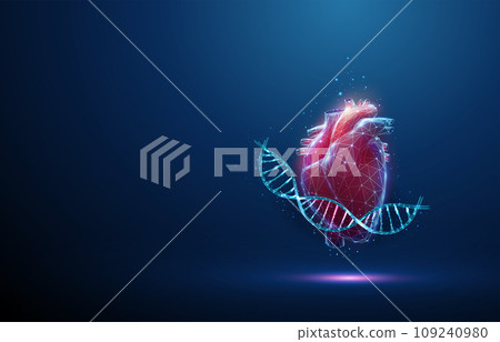 Blue DNA molecule helix with red human heart. Hereditary heart diseases, diagnosis of genetic diseases concept. Low poly 109240980