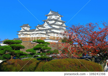 [兵庫縣]晴天時的姬路城和秋葉 109241398