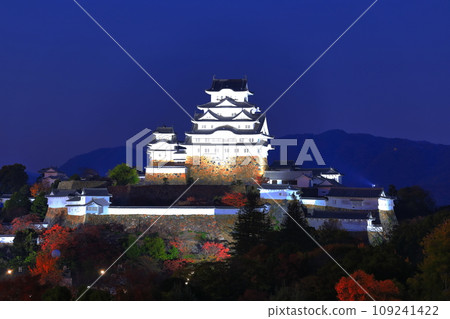 [兵庫縣] 姬路城夜景（姬路公園） 109241422