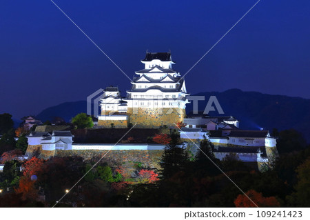 [Hyogo Prefecture] Night view of Himeji Castle (Himeji Park) 109241423