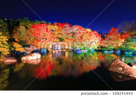 [兵庫縣] 好古園紅葉燈飾（姬路公園） 109241443