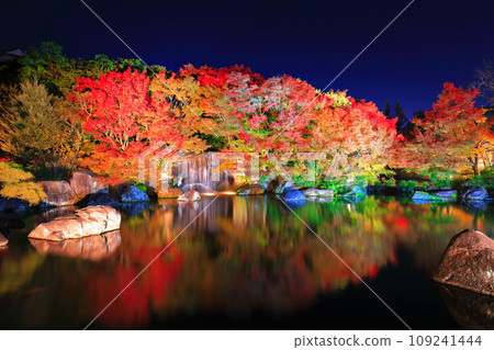 [Hyogo Prefecture] Kokoen Garden illumination with autumn leaves (Himeji Park) 109241444