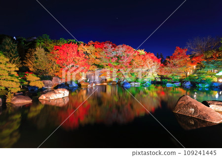 [兵庫縣] 好古園紅葉燈飾（姬路公園） 109241445