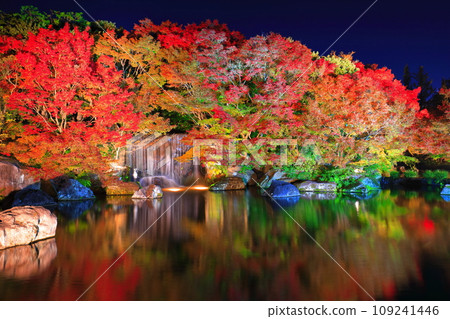 [兵庫縣] 好古園紅葉燈飾（姬路公園） 109241446