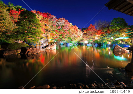 [Hyogo Prefecture] Kokoen Garden illumination with autumn leaves (Himeji Park) 109241449
