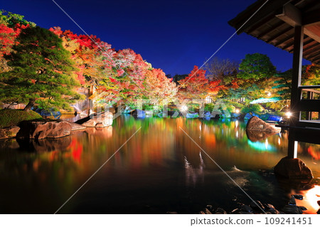 [Hyogo Prefecture] Kokoen Garden illumination with autumn leaves (Himeji Park) 109241451