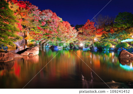 [Hyogo Prefecture] Kokoen Garden illumination with autumn leaves (Himeji Park) 109241452