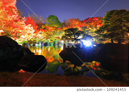 [Hyogo Prefecture] Kokoen Garden illumination with autumn leaves (Himeji Park) 109241453