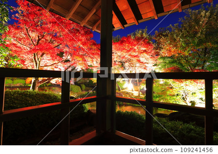 [Hyogo Prefecture] Kokoen Garden illumination with autumn leaves (Himeji Park) 109241456