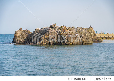 Shobuda Beach Shichigahama Town, Miyagi Prefecture Shobuda Beach Shichigahama Town, Miyagi Prefecture 109241576