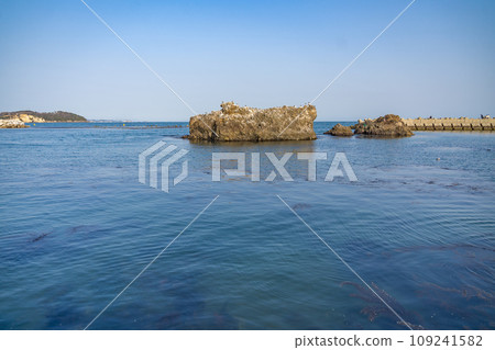 Shobuda Beach Shichigahama Town, Miyagi Prefecture 109241582