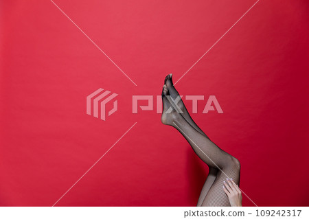 Beautiful slender female legs in pantyhose stockings on red background Beautiful slender female legs in pantyhose stockings on red background 109242317