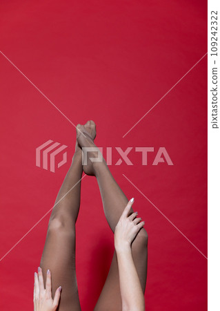 Beautiful slender female legs in pantyhose stockings on red background Beautiful slender female legs in pantyhose stockings on red background 109242322