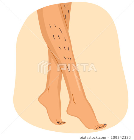 Hairy Unshaved Legs Body Positive Concept Vector Illustration Hairy Unshaved Legs Body Positive Concept Vector Illustration 109242323