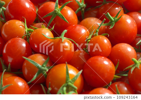 在堆積的微型蕃茄 109243164