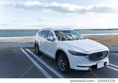 white SUV type passenger car 109243259