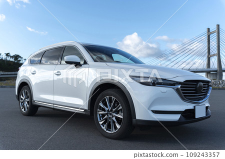 white SUV type passenger car 109243357