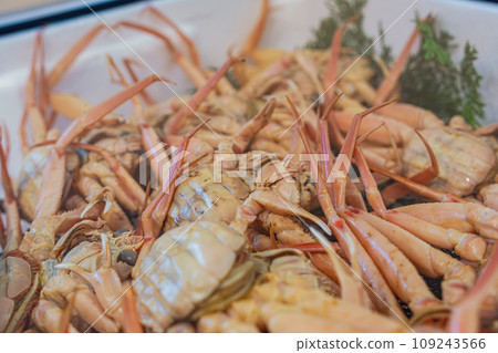 [#Fish Market] Red crab 109243566
