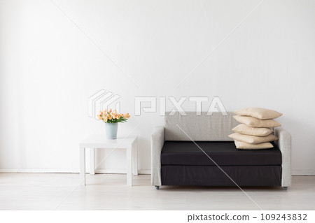 White and grey office sofa in white home room interior 109243832