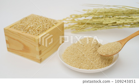 米糠/圖片 | 糙米、稻穗、米糠 米糠/圖片 | 糙米、稻穗、米糠 109243851