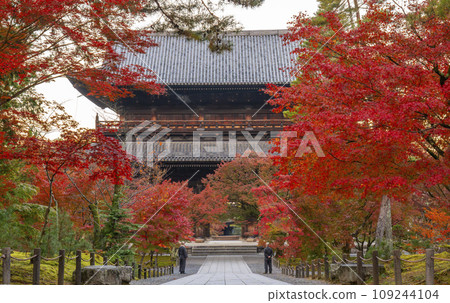 Kyoto in autumn, Nanzenji Temple, Sanmon gate covered in autumn leaves Kyoto in autumn, Nanzenji Temple, Sanmon gate covered in autumn leaves 109244104
