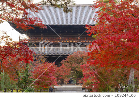 Kyoto in autumn, Nanzenji Temple, Sanmon gate covered in autumn leaves 109244106