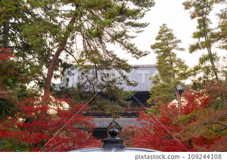 Kyoto in autumn, Nanzenji Temple, Sanmon gate covered in autumn leaves 109244108