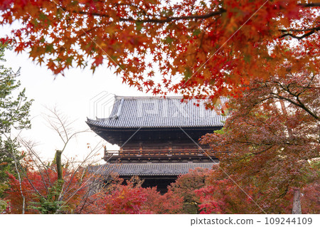 Kyoto in autumn, Nanzenji Temple, Sanmon gate covered in autumn leaves 109244109