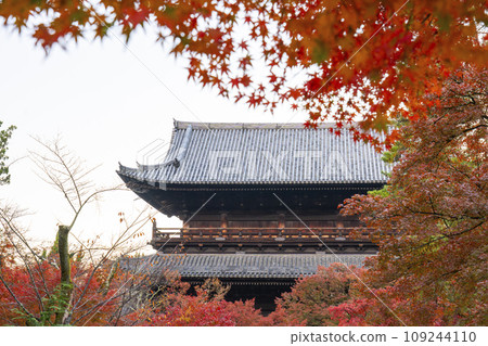 Kyoto in autumn, Nanzenji Temple, Sanmon gate covered in autumn leaves 109244110