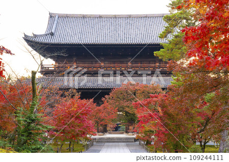 秋天的京都,南禪寺,秋葉覆蓋的三門 秋天的京都,南禪寺,秋葉覆蓋的三門 109244111