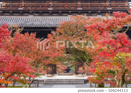 秋天的京都,南禪寺,秋葉覆蓋的三門 秋天的京都,南禪寺,秋葉覆蓋的三門 109244113