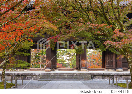 Kyoto in autumn, Nanzenji Temple, Sanmon gate covered in autumn leaves Kyoto in autumn, Nanzenji Temple, Sanmon gate covered in autumn leaves 109244116