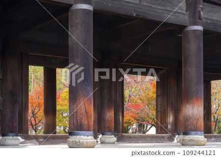 Kyoto in autumn, Nanzenji Temple, Sanmon gate covered in autumn leaves 109244121