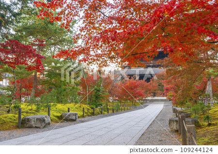 秋天的京都，南禪寺，秋葉覆蓋的三門 109244124