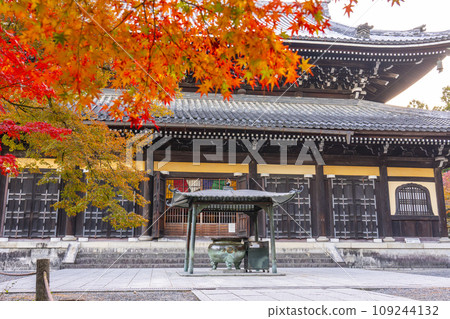 秋天的京都,南禪寺,秋葉覆蓋的法堂 秋天的京都,南禪寺,秋葉覆蓋的法堂 109244132