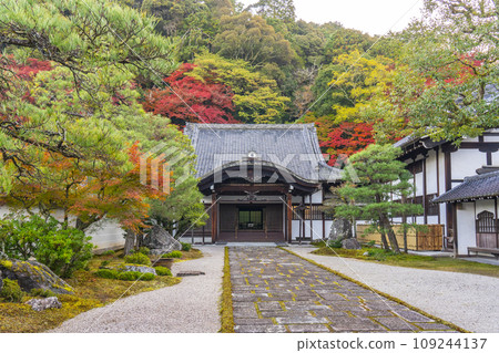 秋天的京都，南禪寺，主寺正門被秋葉覆蓋 109244137