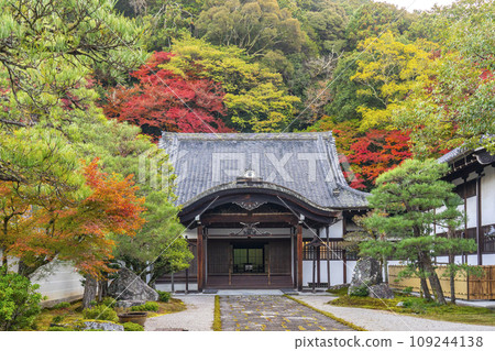 秋天的京都，南禪寺，主寺正門被秋葉覆蓋 109244138