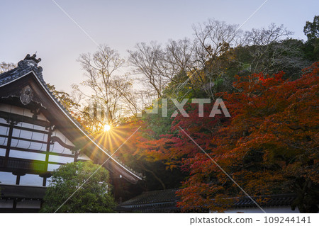 京都的秋天,南禪寺本坊倉庫,秋葉和日出 京都的秋天,南禪寺本坊倉庫,秋葉和日出 109244141